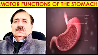 MOTOR FUNCTIONS OF THE STOMACH Lectures by Dr Alamzeb [upl. by Dnallor]