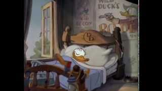 Donald Duck Cartoons Full Episodes [upl. by Adest701]