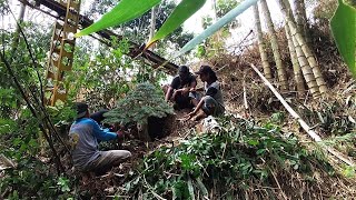 Rame rame berburu bahan bonsai serut di pinggir sungai [upl. by Nolaj]