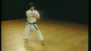 Nijushiho  Shotokan Karate [upl. by Retsim]