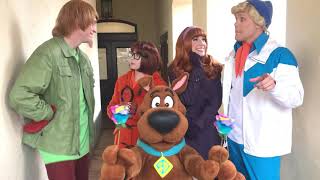 Shaggy and Scooby Doo ruin Freds Valentines plans  Universal Studios [upl. by Jonina]