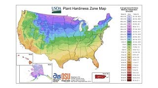 Plant Hardiness Zones  From the Ground Up [upl. by Jolanta638]