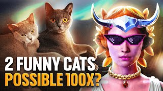 CLAWS AND MISCHIEF 🔥2 Funny Cats🔥 ENTERING THE WORLD OF MEME COINS [upl. by Anilad]