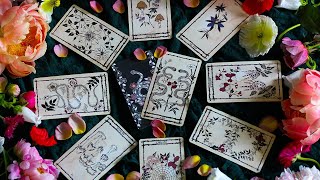 LEO  SOMEONE IS ABOUT TO FIGHT FOR YOU LEO LOVE TAROT READING [upl. by Diandre]