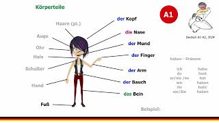 Deutsch Lernen A1  Wortschatz  Körperteile  Konjugation des Verbs haben im Präsens [upl. by Ashbey995]