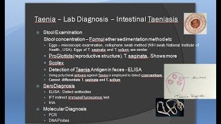 Parasitology 138 c Taenia Taeniasis cysticercosis eosinophila lab diagnosis laboratory [upl. by Nirrek]