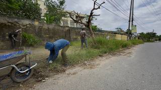 Cleaning up 150 meters of overgrown sidewalk made everyone amazed [upl. by Chic394]