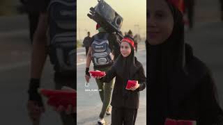 zair e karbala iraq [upl. by Zelten999]