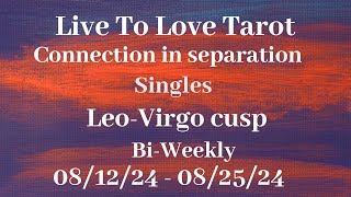 ♌️ Leo ♍️ Virgo cusp love reads🔥They plan on returning🔥 [upl. by Brit]