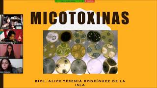 Micotoxinas y Micotoxosicosis [upl. by Clemmie327]