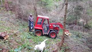 Prvé testy navijaku s MT8050 Forest Winch Testing Seilwinde erste test [upl. by Robyn246]