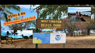 Big Island Hawaii  Whittington Beach Park [upl. by Anrym]