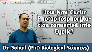 Non Cyclic Phosphorylation  MDCAT 2022  Z Scheme  Light Dependent Reaction [upl. by Hajile]