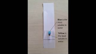 Lets Try Paper Chromatography At Home [upl. by Einor]