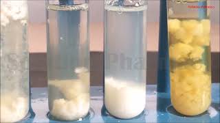 Proteolytic Enzymes  How Protein is Digested By Pepsin  Proteolytic Enzyme  ENGLISH [upl. by Ewolram]