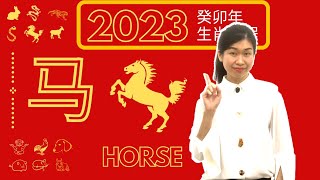 千里马遇见伯乐！【马】2023癸卯年十二生肖流年运程 2023 Water Rabbit Astrology Forecast Horse [upl. by Allison]