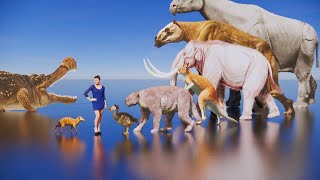 All prehistoric animals size comparison [upl. by Haisej699]