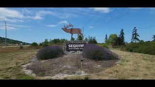 Sequim WA Lavender Festival Weekend [upl. by Nohj]