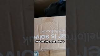 hellofresh in springfield is wild cutedog cutepug funnydog funnypug dogdelivery [upl. by Pulchi]