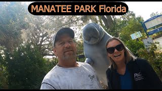 Kayaking Manatee Park Fort Myers Florida [upl. by Kirch]