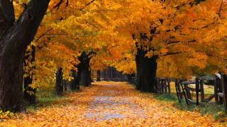 Antonio Vivaldi  Autumn [upl. by Etteve]