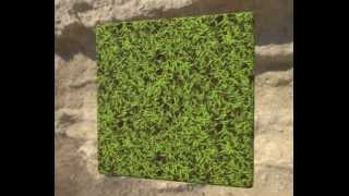 Procedural Grass [upl. by Amati]