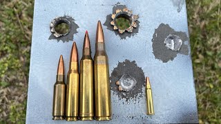 338 Lapua vs 7mm RM vs 308 Win vs 65 Grendel On Steel [upl. by Esojnauj]