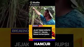 NEGARA RUGI 271 TRILIUN PENAMBANGAN LIAR WARGA JADI TERIMA LIMBAHNYA [upl. by Leinad458]