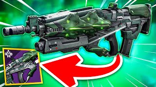 The Crota Pulse Rifle Is A HIDDEN GEM OVERSOUL EDICT  Destiny 2 Season of the Witch [upl. by Sergu]