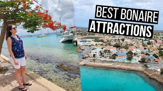 Bonaire Travel Guide  The Best Things to See and Do in Bonaire [upl. by Leona]