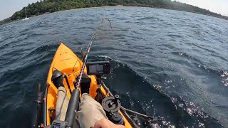 Mooching Up a Big Coho Salmon in CRAZY WindsUNDERWATER BITES [upl. by Gonzalo226]