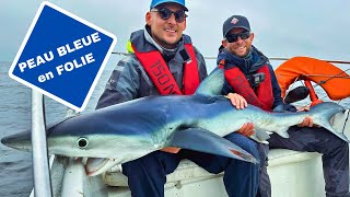 PÊCHE au REQUIN PEAU BLEUE guidé par JORIS Le RECORD est TOMBÉ 🦈 [upl. by Arimas]