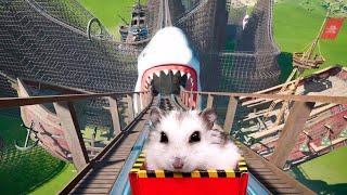 Hamster in Roller Coaster Maelstrom with shark [upl. by Hackett]