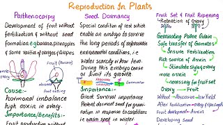 Parthenocarpy  Seed dormancy  Fruit set and fruit ripening  class 12 [upl. by Brande]