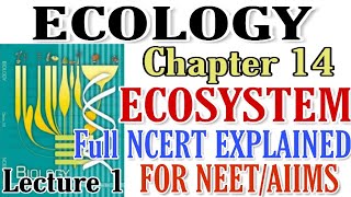 NCERT Ch14 ECOSYSTEM Ecology class 12 Biology Full explained NCERT For BOARDS amp NEETAIIMS [upl. by Yenruogis891]