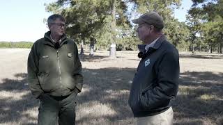 Orchard Produces Loblolly Pine Seeds [upl. by Carlen]