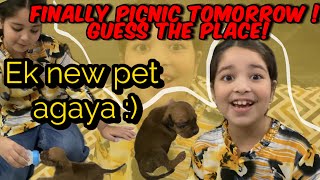 Aayat Arif  Finally PICNIC Tomorrow amp Ek New PET Aagaya   vlog [upl. by Solegnave660]