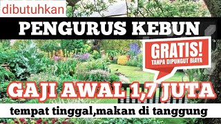 DI BUTUHKAN PENGURUS KEBUN  LOWONGAN KERJA HARI INI [upl. by Einahpad]