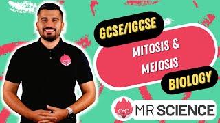 Mitosis amp Meiosis  GCSE  IGCSE Biology  Mr Science in 8K [upl. by Kerin499]