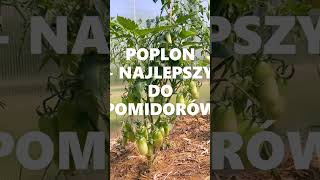 POPLON  NAJLEPSZY DO POMIDORÓW szalejemyisiejemy [upl. by Anul]