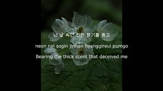 Jonghyun 종현  Diphylleia Grayi Skeleton Flower 산하엽 HanRomEng Lyrics [upl. by Gudren102]