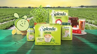 Sweet BEEginings  Splenda Stevia 30 [upl. by Rambort351]