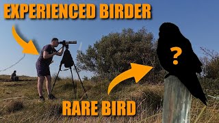 Experienced Birders SECRETS to finding RARE BIRDS [upl. by Duarte446]