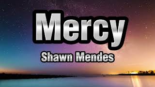 Shawn Mendes  MercyLyrics [upl. by Alliuqahs]