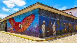 CANTARRANAS EL PUEBLO SELFIE DE HONDURAS [upl. by Ardnikal27]