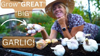 Planting Garlic in the Fall for BIGGEST Bulbs StepbyStep Guide [upl. by Ynohtnaluap294]