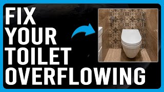 How To Fix Your Toilet Overflowing Why Is Your Toilet Overflowing [upl. by Yannodrahc]