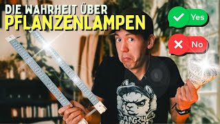 Pflanzenlampe 🤯 Hui oder Pfui  Wie viel Licht braucht deine Pflanze [upl. by Eesak]