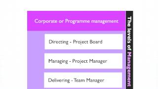 PRINCE2 Certification Exam  Team Organization Structure  ProjectingIT [upl. by Henrik]