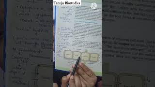 Symplast Pathway  Transport in Plants  NEET 2024  shorts [upl. by Aikahs497]